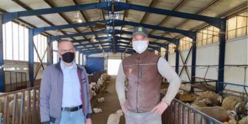 Alldaynews.gr Από άστεγος στους δρόμους της Αθήνας, κτηνοτρόφος στην Κοζάνη