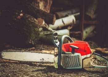 Νεκρός διάσημος σκηνοθέτης – Έκοψε το χέρι του με αλυσοπρίονο σε φρικτό ατύχημα