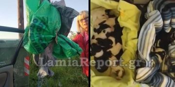 Πέταξαν 13 νεογέννητα κουταβάκια στα σκουπίδια – Έκκληση από τον Φιλοζωικό Σύλλογο (video)
