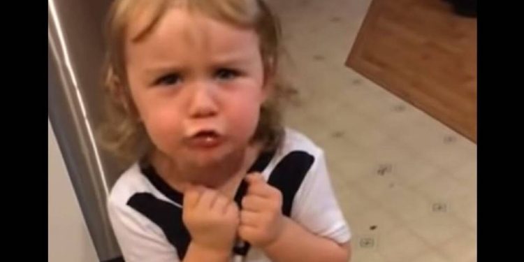 Alldaynews.gr Επικό βίντεο: «Μην ξαναπιείς το αναψυκτικό μου!»