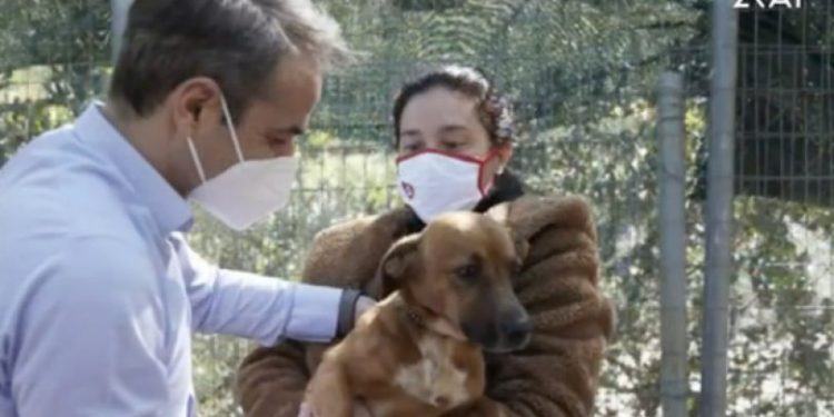 Alldaynews.gr Ο Κυριάκος Μητσοτάκης υιοθέτησε σκυλάκι (pics, video)
