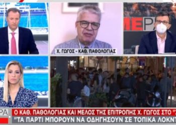 Γώγος: Τοπικά lockdown όταν χρειαστεί