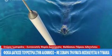 Αλόννησος: Με σοβαρά τραύματα η τουρίστρια που δαγκώθηκε απο φώκια[video]
