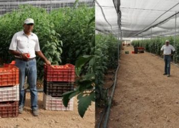 Ήρθε στην Ελλάδα με 170 ευρώ, απέκτησε 1.000 στρέμματα και έγινε ένας επιτυχημένος επιχειρηματίας