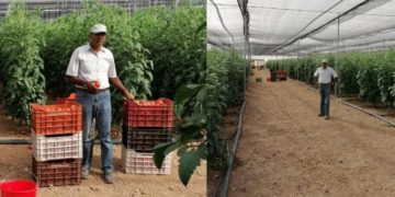 Ήρθε στην Ελλάδα με 170 ευρώ, απέκτησε 1.000 στρέμματα και έγινε ένας επιτυχημένος επιχειρηματίας