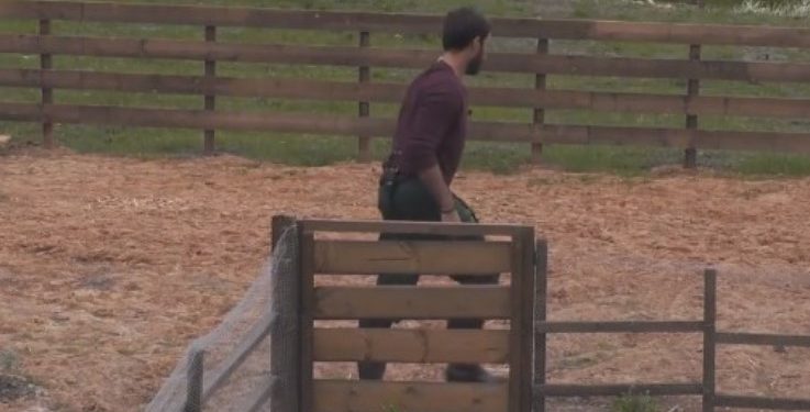 Φάρμα: Έγινε Χαμός με τον Επιστάτη-Δεν το περίμενε με τίποτα η παραγωγή![video]