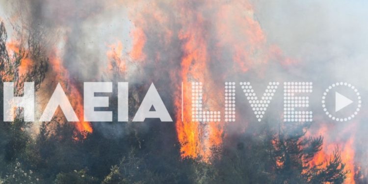 Φωτιά ΤΩΡΑ στην Ηλεία[photos]