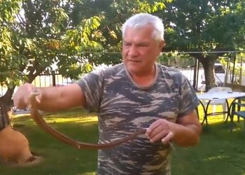 Βρήκε φίδι στον κήπο του και άρχισαν τα παιχνίδι!![video]