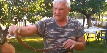 Βρήκε φίδι στον κήπο του και άρχισαν τα παιχνίδι!![video]