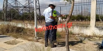 Πριν Λίγο: Έπεσε πάνω σε  σταθμευμένο φορτηγό και βρήκε ακαριαίο θάνατο[Φωτογραφίες]