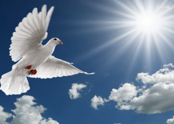 Αγίου Πνεύματος 2021: Πότε πέφτει, για ποιους είναι αργία