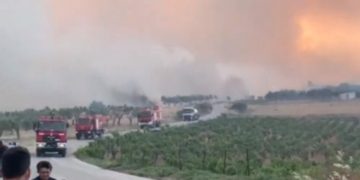 Αναζωπύρωση της φωτιάς στα Μέγαρα Αττικής: Εκκενώνεται ο οικισμός Παπαγιαννέικα