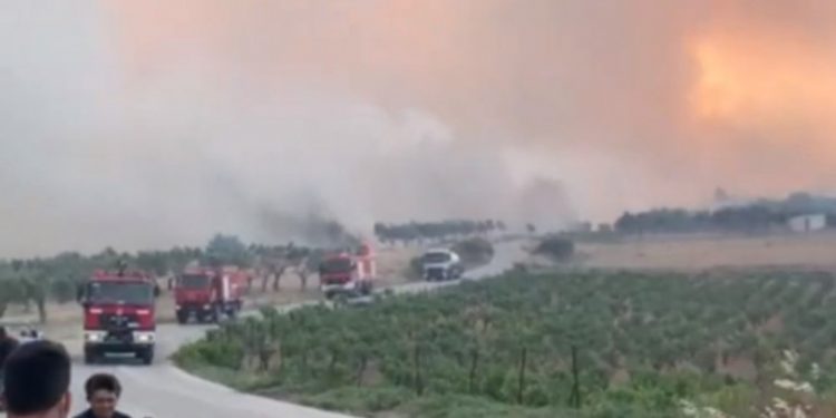 Αναζωπύρωση της φωτιάς στα Μέγαρα Αττικής: Εκκενώνεται ο οικισμός Παπαγιαννέικα