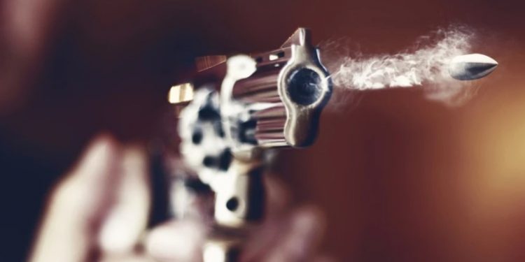 Alldaynews.gr Σοκάρει ο πυροβολισμός 2χρονης από έναν 3χρονο