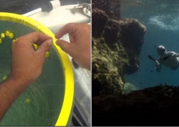 Alldaynews.gr Αλλάζουν όλα στο ερασιτεχνικό ψάρεμα με δίμηνη απαγόρευση και απαγορεύσεις στο ψαροντούφεκο