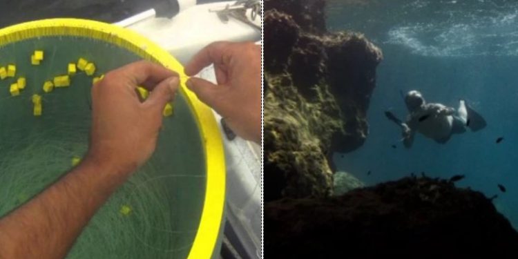 Αλλάζουν όλα στο ερασιτεχνικό ψάρεμα με δίμηνη απαγόρευση και απαγορεύσεις στο ψαροντούφεκο