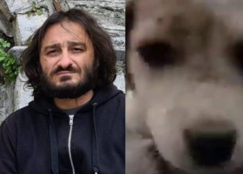 Alldaynews.gr Ο Χαραλαμπόπουλος μπήκε σε κάδο κι έσωσε ένα σκυλάκι: «Πώς είναι δυνατόν να πετάνε μια ψυχούλα στα σκουπίδια;» (vid)