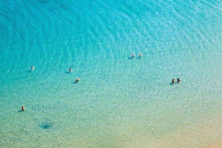 Αντικαρκινικές ιδιότητες: 5 τροφές που πρέπει να τρώτε κάθε μέρα