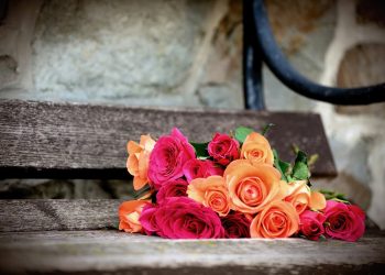 Alldaynews.gr εορτολόγιο-γιορτή-λουλούδια