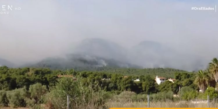 Καλά νέα από τη φωτιά στην Κορινθία: «Σε ύφεση» λέει ο αρχηγός της Πυροσβεστικής – Μάχη από αέρος (vids)