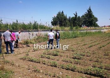 Τραύμα στο κεφάλι από κυνηγετικό όπλο έφερε ο 45χρονος -“Αυτός που έκαψε και σκότωσε τον αδερφό μου θα τιμωρηθεί”
