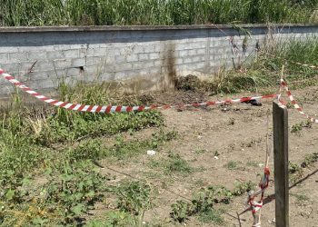 ΕΚΤΑΚΤΟ: Συνελήφθη ο δολοφόνος που σκότωσε και έκαψε τον κομμωτή – Τι είπε στους αστυνομικούς (video)