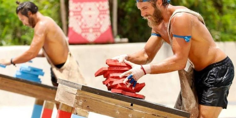 Alldaynews.gr Survivor