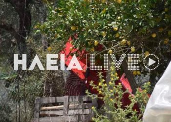 Συμβαίνει Τώρα: Πτώση αεροσκάφους στην Χαριά Πύργου-Δύο Νεκροί-Η Τραγική Ειρωνεία[Φωτογραφίες][Βίντεο]