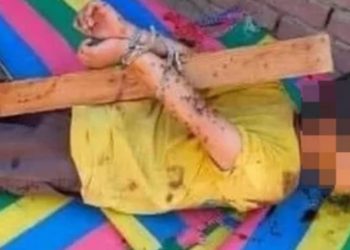 Πατέρας έδεσε τον γιο του και του έβαλε μέλι για να τον τσιμπήσουν μέλισσες