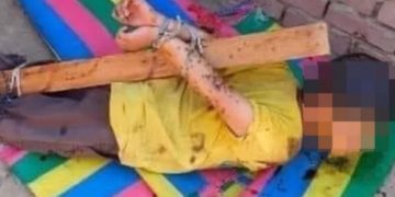 Alldaynews.gr Πατέρας έδεσε τον γιο του και του έβαλε μέλι για να τον τσιμπήσουν μέλισσες