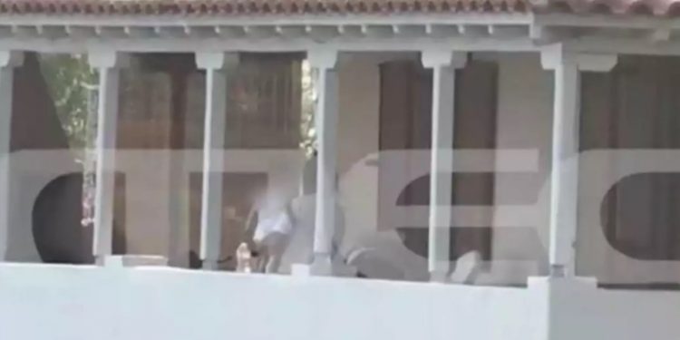 Η μικρή Λυδία εκεί που μεγάλωσε η Κάρολαϊν-Η αγκαλιά στο μπαλκόνι με τη γιαγιά της[video]