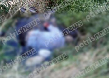 Τραγωδία: Βρέθηκε νεκρός σε κανάλι ο Παναγιώτης Καρβέλης