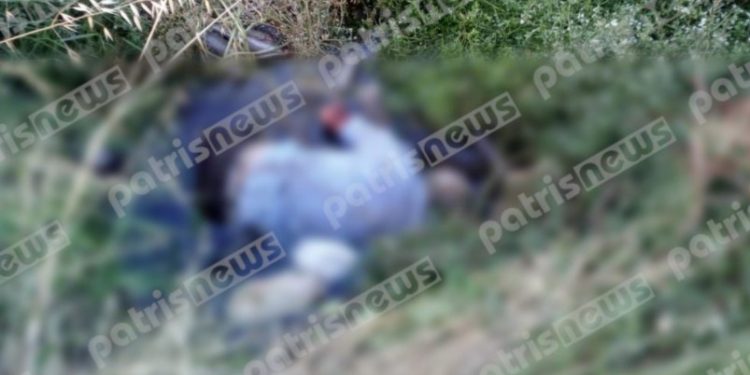 Τραγωδία: Βρέθηκε νεκρός σε κανάλι ο Παναγιώτης Καρβέλης