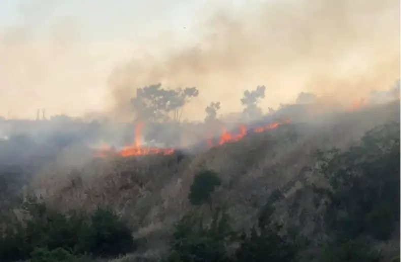 Καίγεται η Θεσσαλονίκη: Φωτιά δίπλα σε κατοικημένη περιοχή στο Πανόραμα-Εκκενώνουν σπίτια[photos][video]