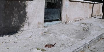 Alldaynews.gr Αγία Βαρβάρα: Βίντεο-ντοκουμέντο από τη δολοφονία της 64χρονης-Ομολόγησε ο εν διαστάσει σύζυγός της