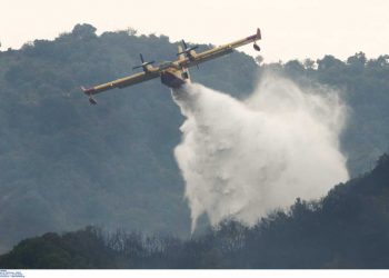 Φωτιά τώρα στη Βραυρώνα Αττικής – Σηκώθηκαν δυο αεροπλάνα κι ένα ελικόπτερο
