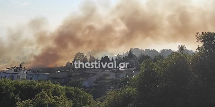 Καίγεται η Θεσσαλονίκη: Φωτιά δίπλα σε κατοικημένη περιοχή στο Πανόραμα-Εκκενώνουν σπίτια[photos][video]