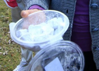 Ηλεία: Ο Δολοφόνος που Σκότωσε τη γυναίκα του με λουκούμια-Το σατανικό σχέδιο και η κίνηση ματ που ξεσκέπασε το έγκλημα