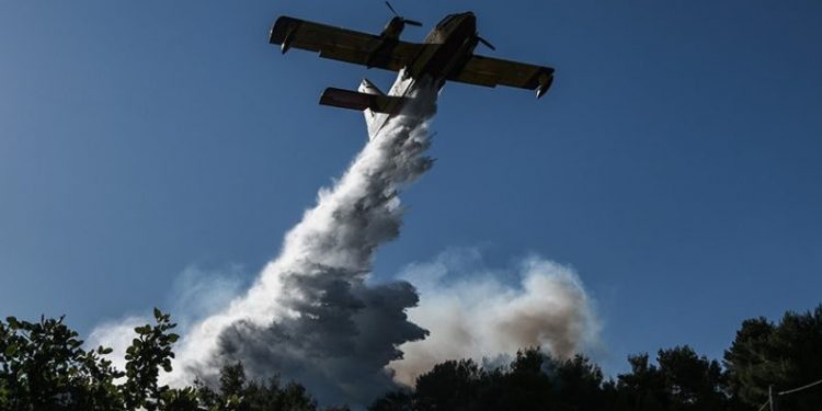 Alldaynews.gr Φωτιά στην Αρκαδία – Συναγερμός στην πυροσβεστική