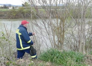 Στον Πηνειό ψάχνουν την συνταξιούχο δασκάλα που αγνοείται στη Λάρισα – Μεγάλη κινητοποίηση