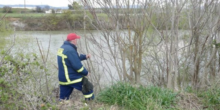 Alldaynews.gr Στον Πηνειό ψάχνουν την συνταξιούχο δασκάλα που αγνοείται στη Λάρισα – Μεγάλη κινητοποίηση