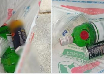 κατάσχεση Τζιν