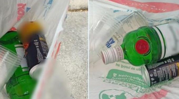 κατάσχεση Τζιν