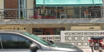 Alldaynews.gr Δάφνη