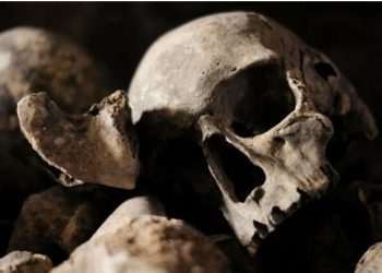 Συναγερμός στην Κρήτη: Βρέθηκε ανθρώπινο κρανίο στην Ντία