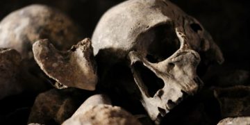 Alldaynews.gr Συναγερμός στην Κρήτη: Βρέθηκε ανθρώπινο κρανίο στην Ντία