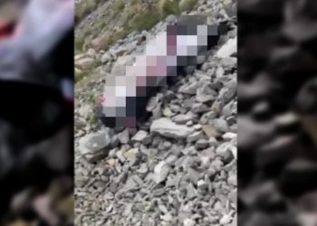 Βίντεο: Σοκαριστικό Ντοκουμέντο από την πτώση του αιωροπτεριστή που βρήκε τραγικό θάνατο στη Βοιωτία