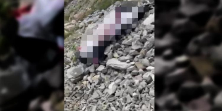 Βίντεο: Σοκαριστικό Ντοκουμέντο από την πτώση του αιωροπτεριστή που βρήκε τραγικό θάνατο στη Βοιωτία