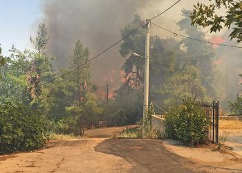 Συμβαίνει Τώρα:Καίγονται σπίτια σε Σταμάτα και Ροδόπολη-Η φωτιά πάει προς Διόνυσο (video)