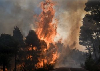 Ολονύχτια μάχη με τις φλόγες στον Έβρο
